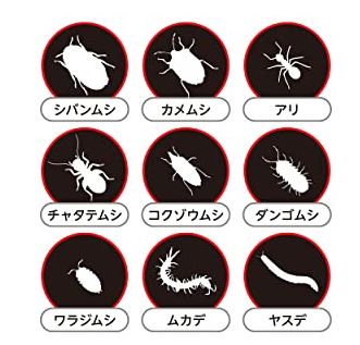 家の黒い小さい丸い飛ぶ虫を駆除する3つの裏技 虫の正体はタバコシバンムシ 家の黒い小さい丸い飛ぶ虫を駆除する3つの裏技 虫の正体はタバコシバンムシ