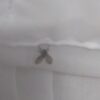 風呂場トイレの小さい黒い虫・逆ハート型のチョウバエの駆除方法｜お勧め殺虫剤（幼虫編・成虫編）