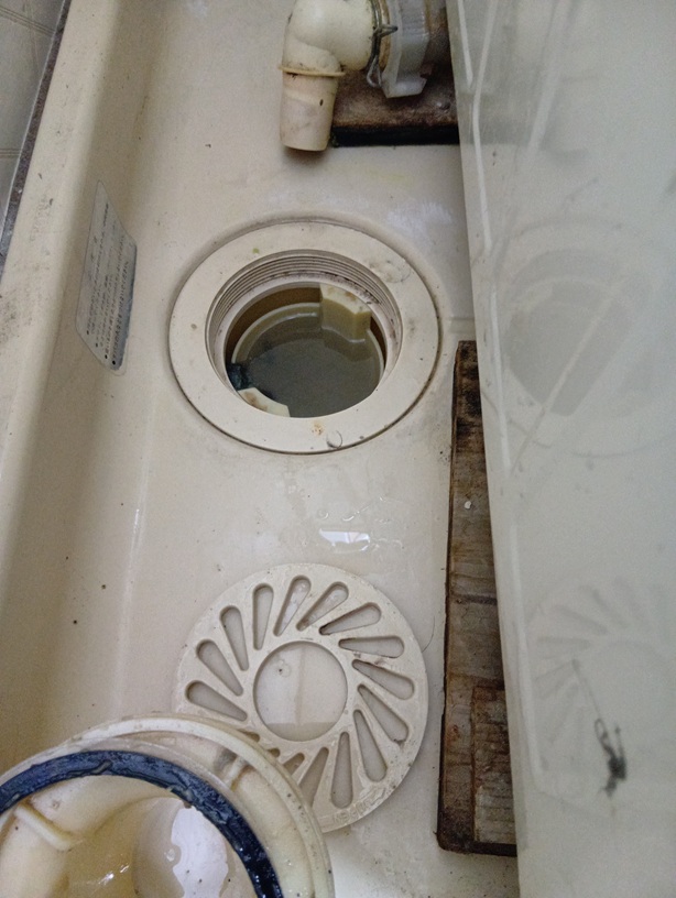 洗濯機の排水口の古くて固いフタが外れた